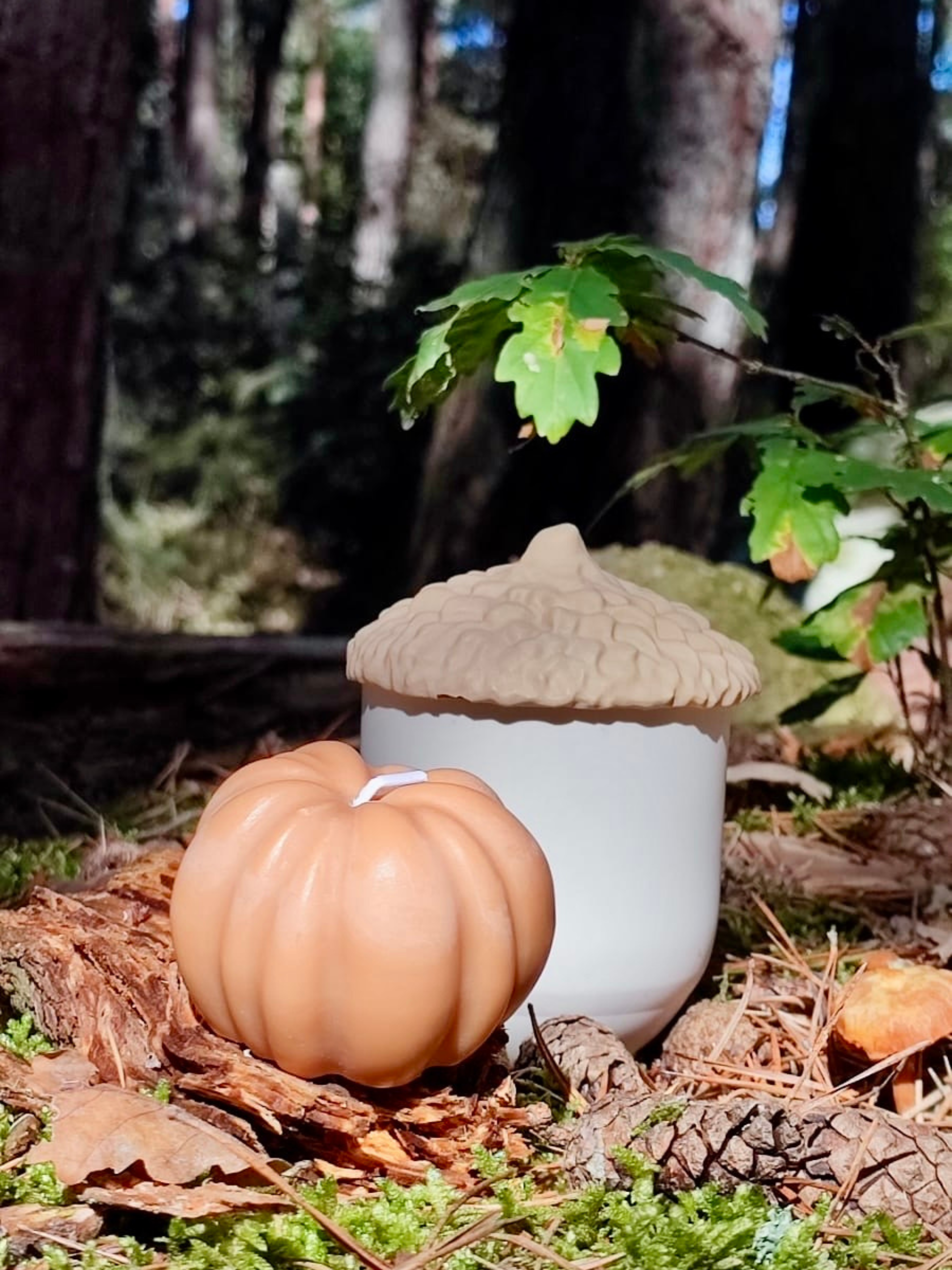 2 bougie artisanale en pot avec coquillage