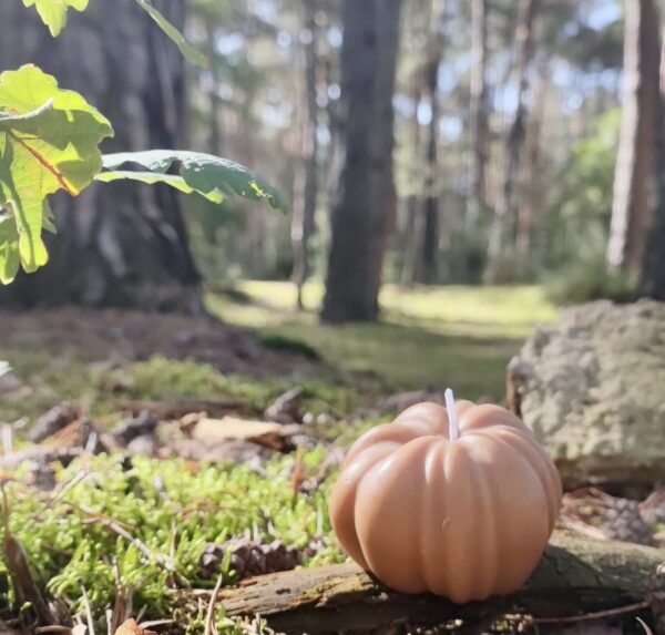 bougie citrouille automne orange