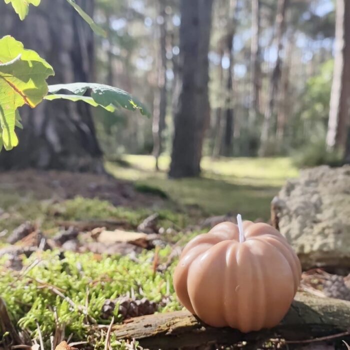 bougie citrouille automne orange